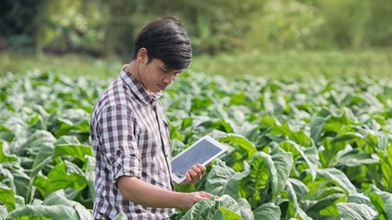 Estudiante revisando un curso en línea con una tablet en el campo